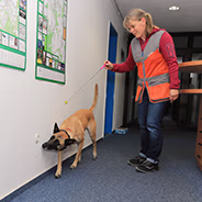 Mann steht vor einem Riss in der Wand