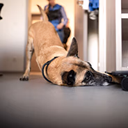 Wand mit großem Riss